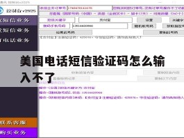美国电话短信验证码怎么输入不了