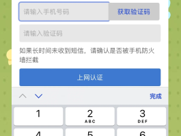 包含如何用虚拟手机号接收手机验证码短信呢苹果的词条