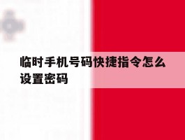 临时手机号码快捷指令怎么设置密码