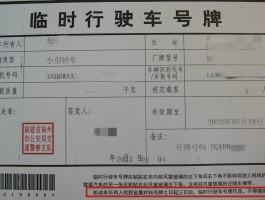 临时号码牌和正式号码牌一样吗图片大全