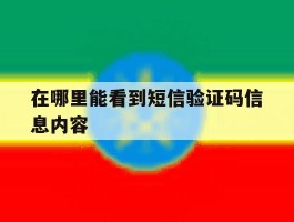 在哪里能看到短信验证码信息内容
