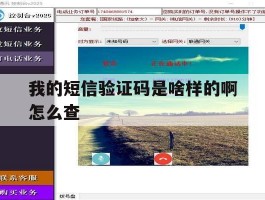 我的短信验证码是啥样的啊怎么查