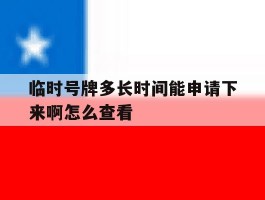 临时号牌多长时间能申请下来啊怎么查看