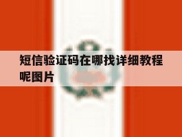 短信验证码在哪找详细教程呢图片