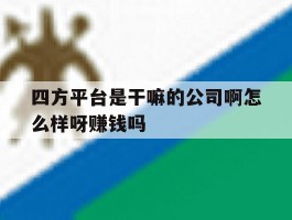 包含四方平台是干嘛的公司啊怎么样呀赚钱吗的词条