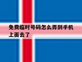 免费临时号码怎么弄到手机上面去了