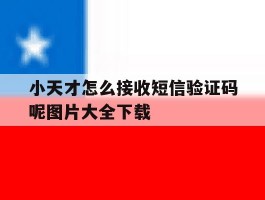 小天才怎么接收短信验证码呢图片大全下载的简单介绍