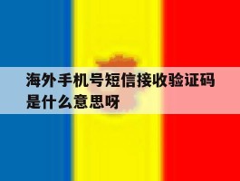 包含海外手机号短信接收验证码是什么意思呀的词条