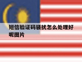 短信验证码骚扰怎么处理好呢图片