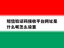短信验证码接收平台网址是什么呢怎么设置