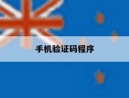 手机验证码程序