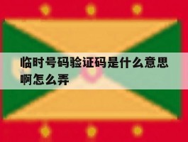 临时号码验证码是什么意思啊怎么弄