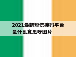 2021最新短信接码平台是什么意思呀图片