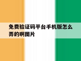 免费验证码平台手机版怎么弄的啊图片