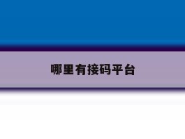 哪里有接码平台