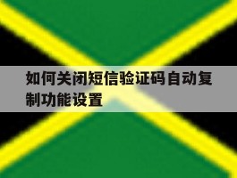 如何关闭短信验证码自动复制功能设置
