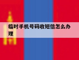 临时手机号码收短信怎么办理