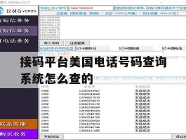 接码平台美国电话号码查询系统怎么查的
