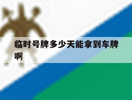 临时号牌多少天能拿到车牌啊