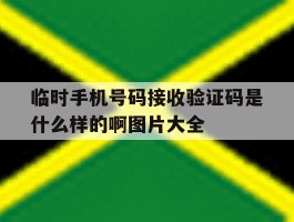 临时手机号码接收验证码是什么样的啊图片大全的简单介绍