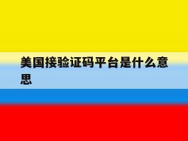 美国接验证码平台是什么意思