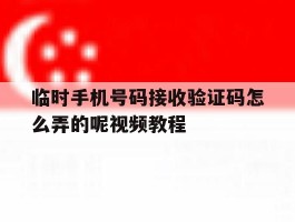 临时手机号码接收验证码怎么弄的呢视频教程