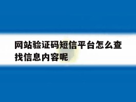 网站验证码短信平台怎么查找信息内容呢的简单介绍