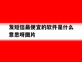 发短信最便宜的软件是什么意思呀图片