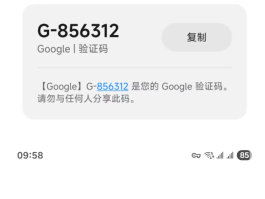 注册谷歌账号手机验证码要钱吗是真的吗