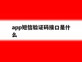app短信验证码接口是什么