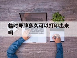 临时号牌多久可以打印出来啊