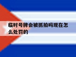 临时号牌会被抓拍吗现在怎么处罚的