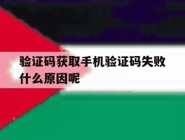 验证码获取手机验证码失败什么原因呢