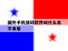 国外手机接码软件叫什么名字来着