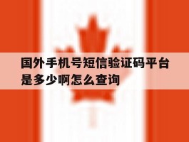 关于国外手机号短信验证码平台是多少啊怎么查询的信息