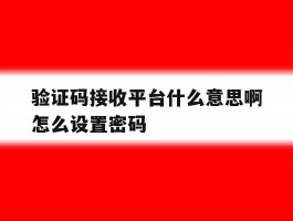 验证码接收平台什么意思啊怎么设置密码