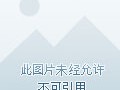 接码平台违法判刑