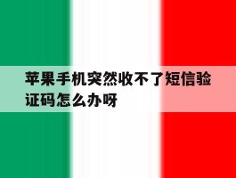 苹果手机突然收不了短信验证码怎么办呀