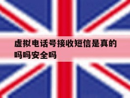 关于虚拟电话号接收短信是真的吗吗安全吗的信息