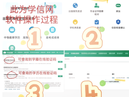 账号验证码怎么看的到手机号信息