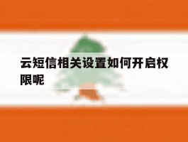 云短信相关设置如何开启权限呢