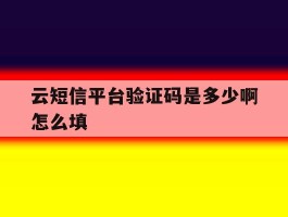 云短信平台验证码是多少啊怎么填的简单介绍