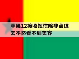 苹果12接收短信除非点进去不然看不到美容的简单介绍