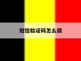 短信验证码怎么搞