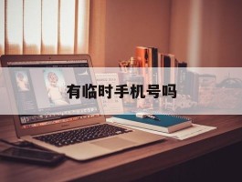 有临时手机号吗