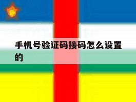 手机号验证码接码怎么设置的