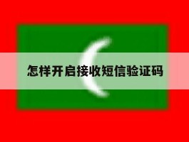 怎样开启接收短信验证码
