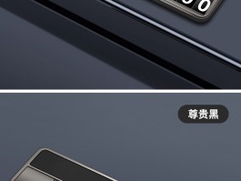 临时号码牌和正式号码牌一样吗图片对比