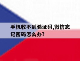 包含手机收不到验证码,微信忘记密码怎么办?的词条