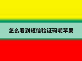 怎么看到短信验证码呢苹果